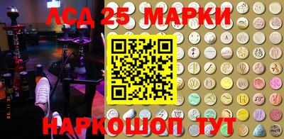 дживик Моздок