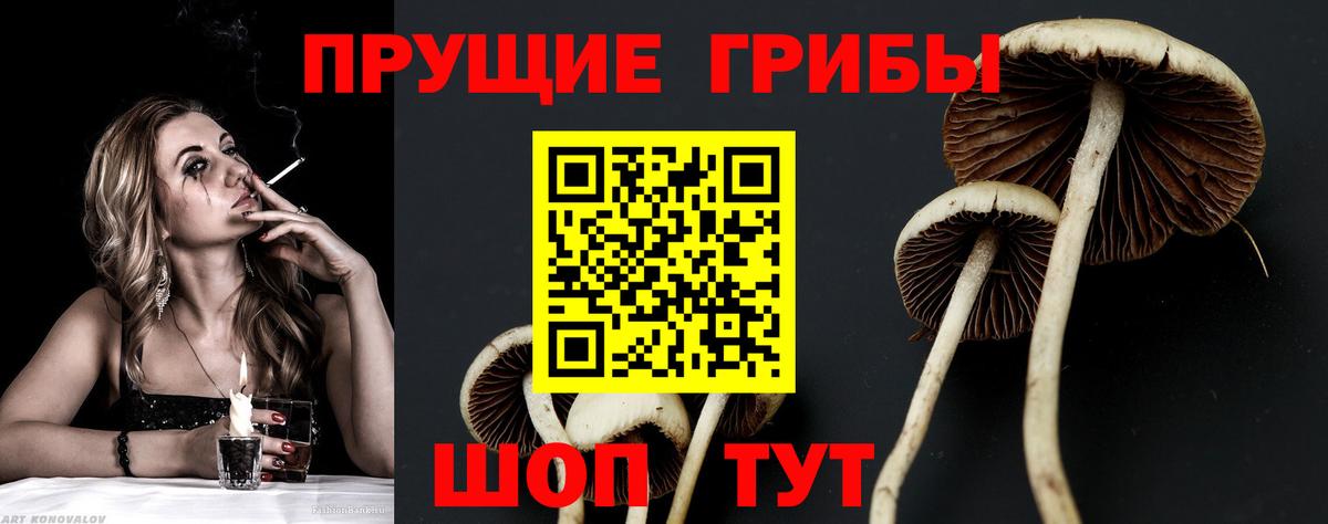 Псилоцибиновые грибы прущие грибы Шарыпово